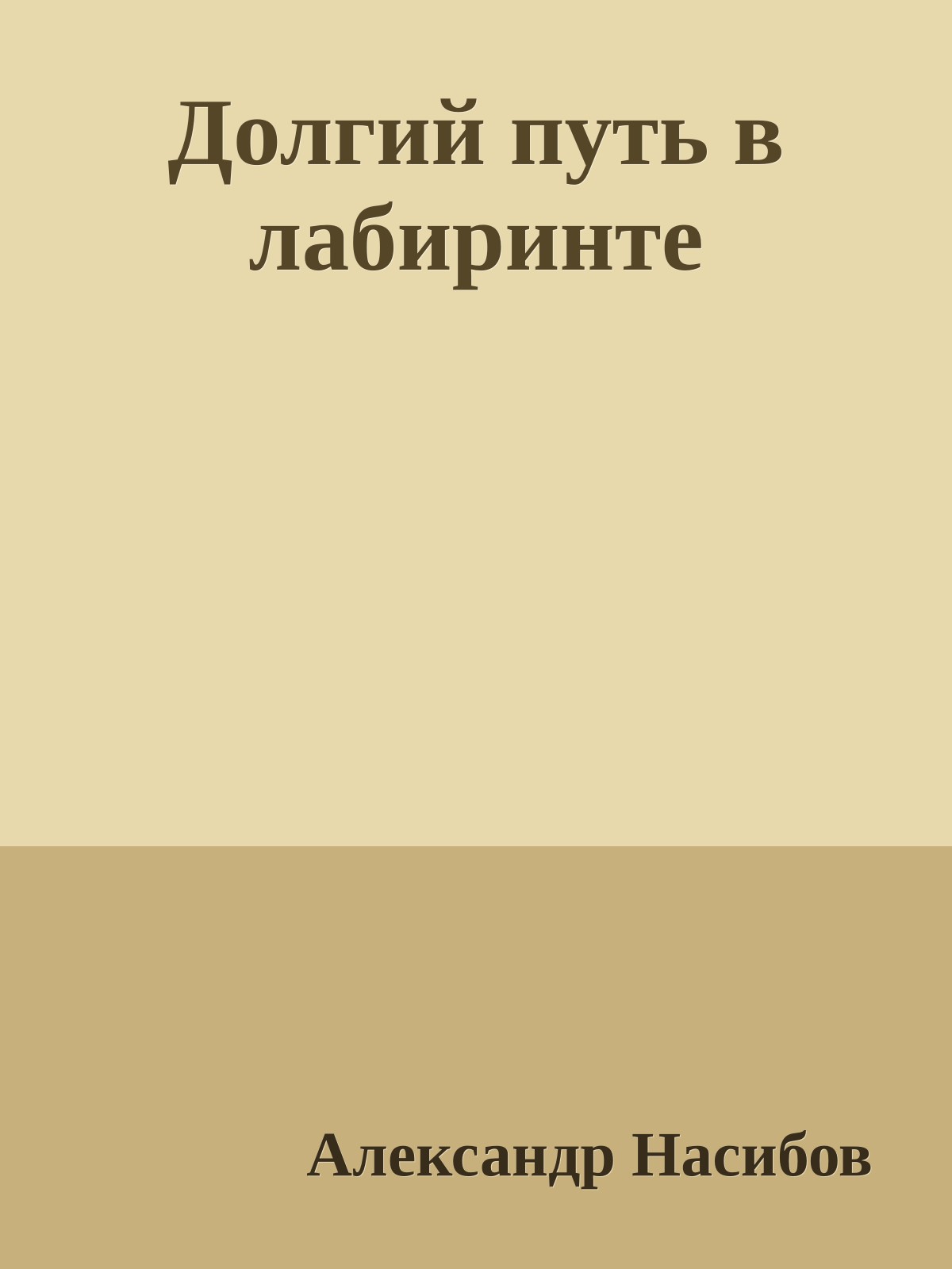 Долгий путь в лабиринте