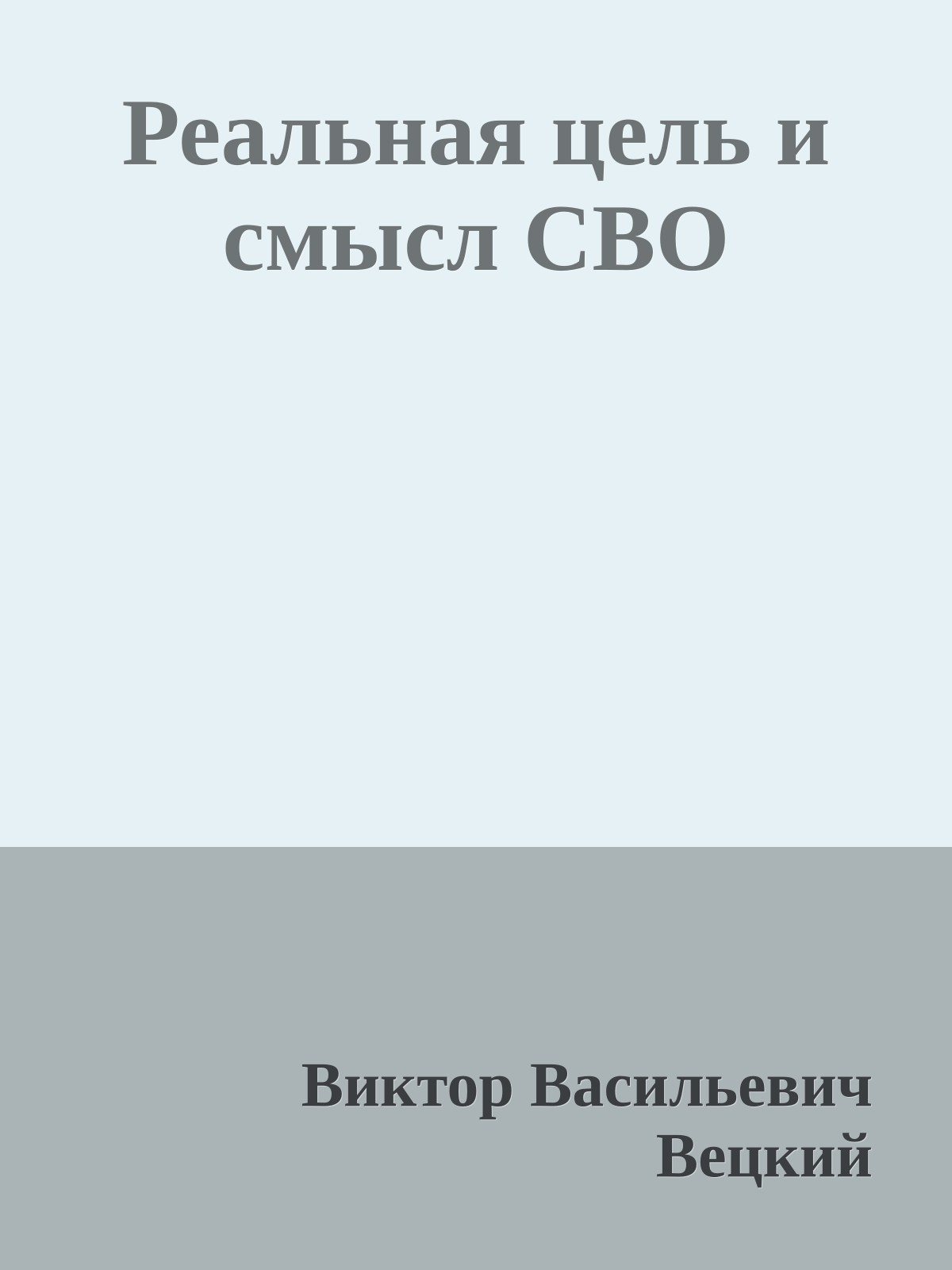 Реальная цель и смысл СВО