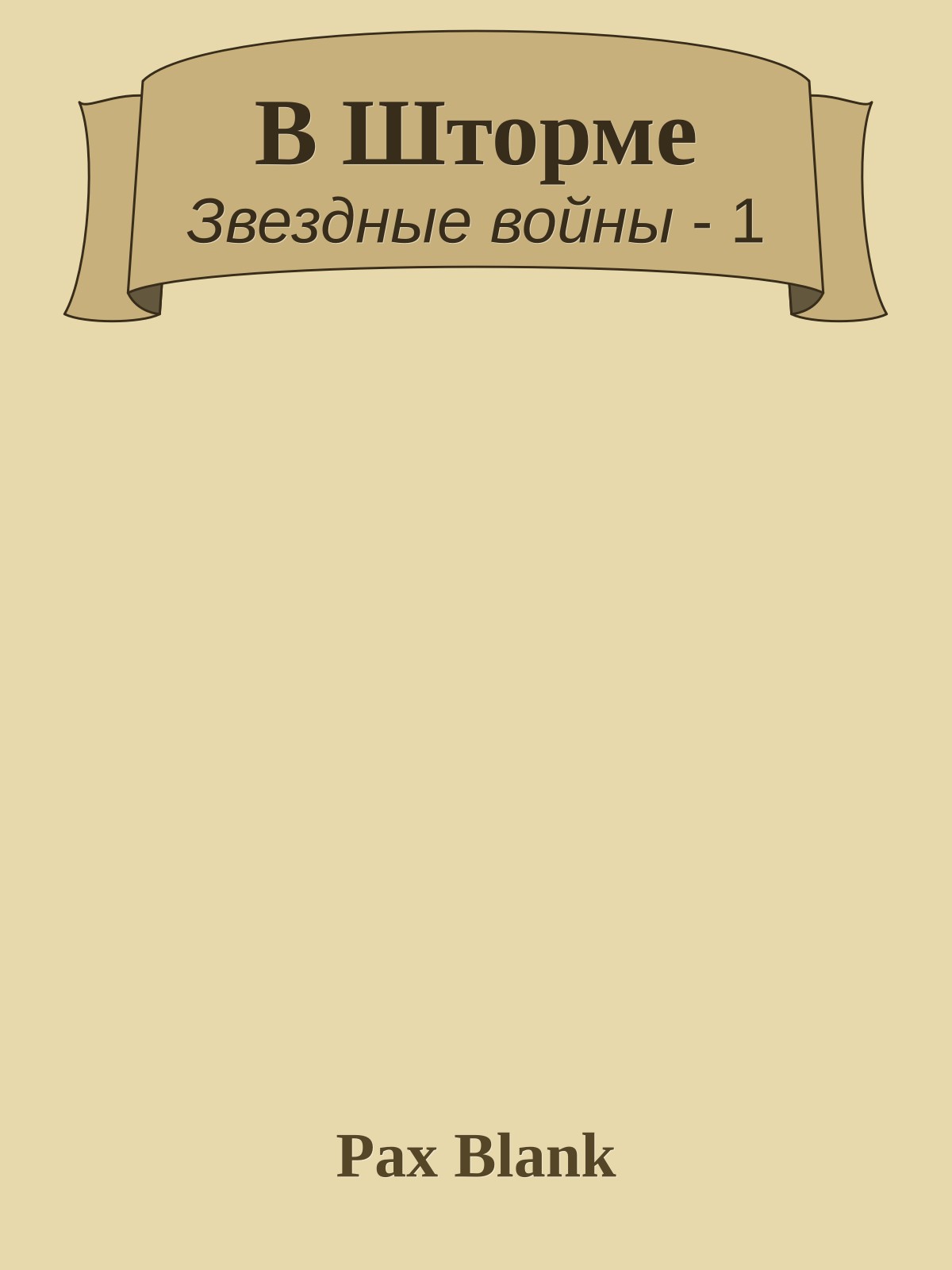 В Шторме