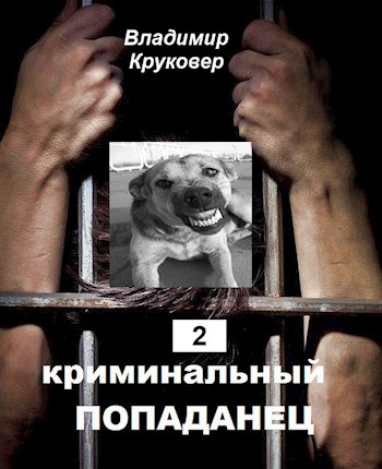 Криминальный попаданец 2 [СИ]
