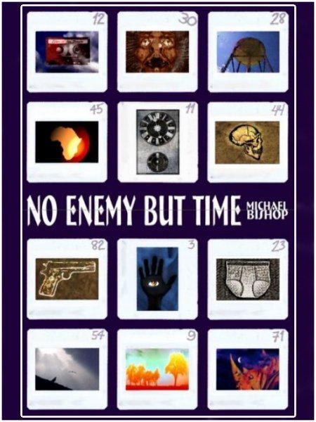 No Enemy But Time