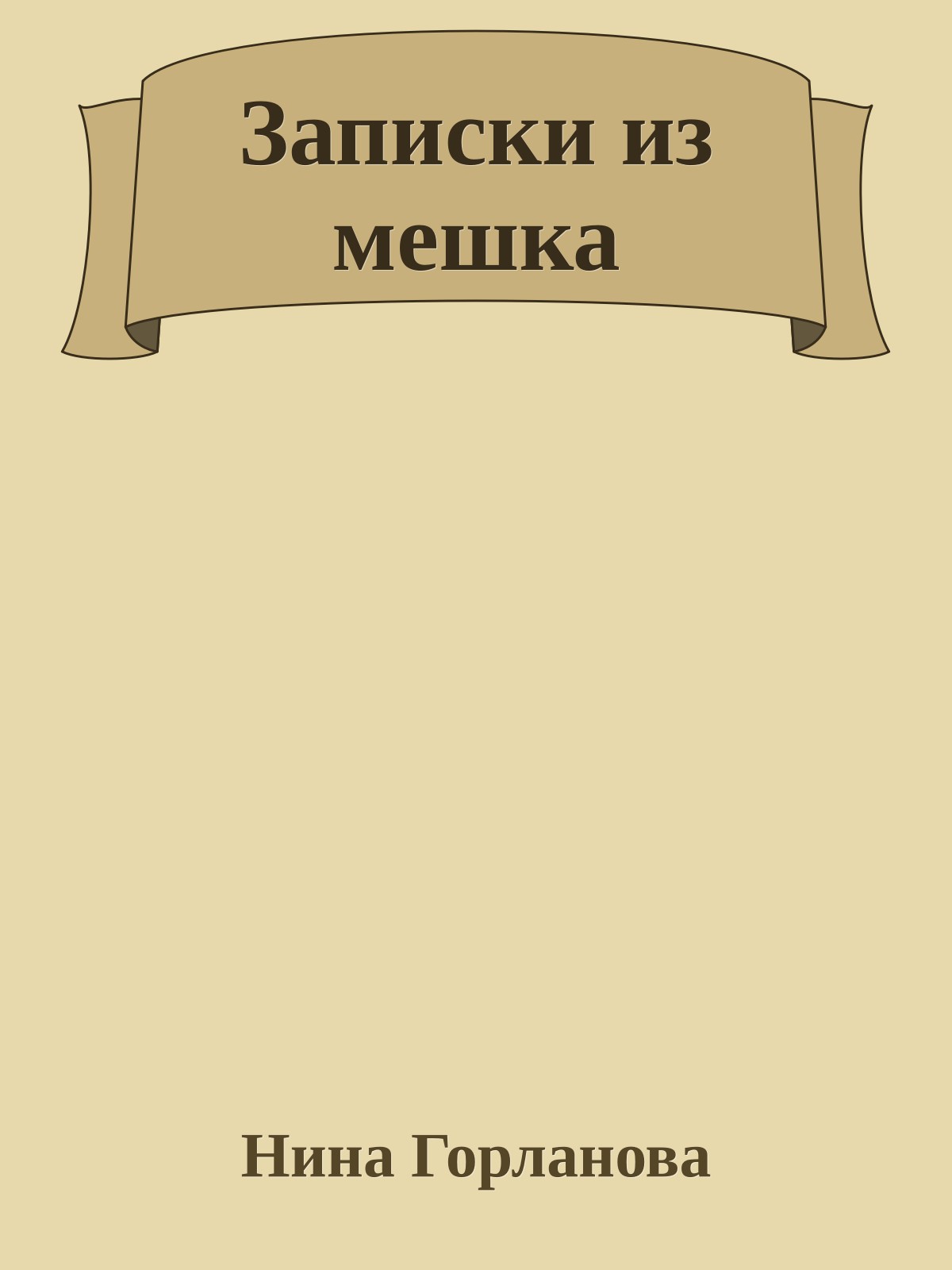 Записки из мешка
