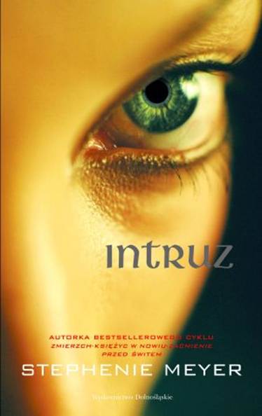 Intruz