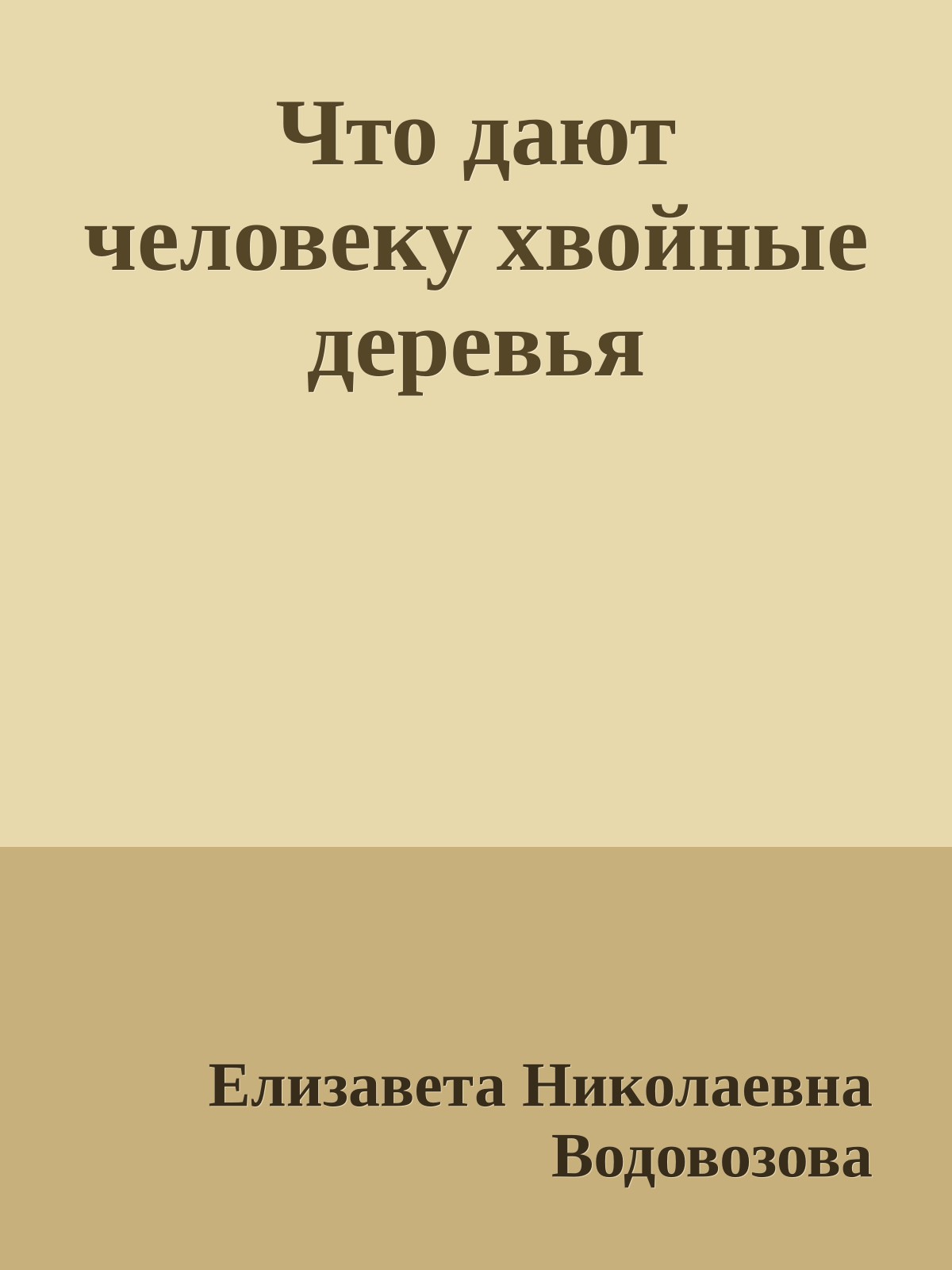 Что дают человеку хвойные деревья