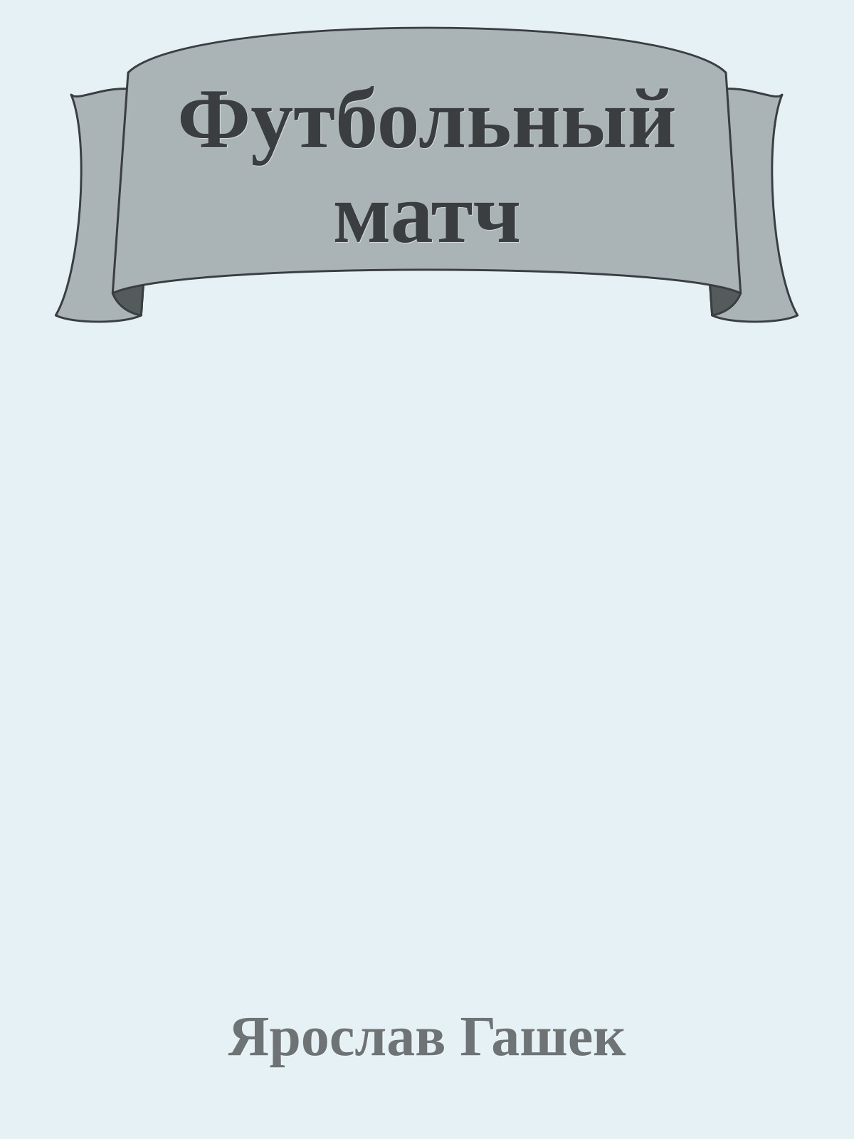 Футбольный матч