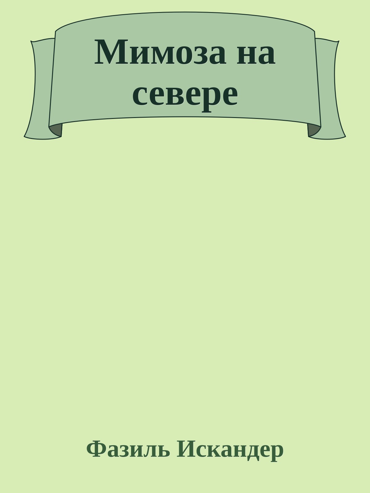 Мимоза на севере