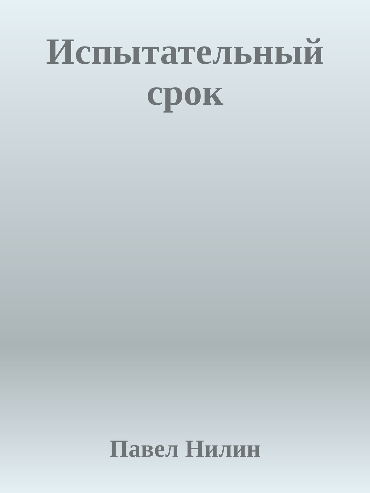 Испытательный срок