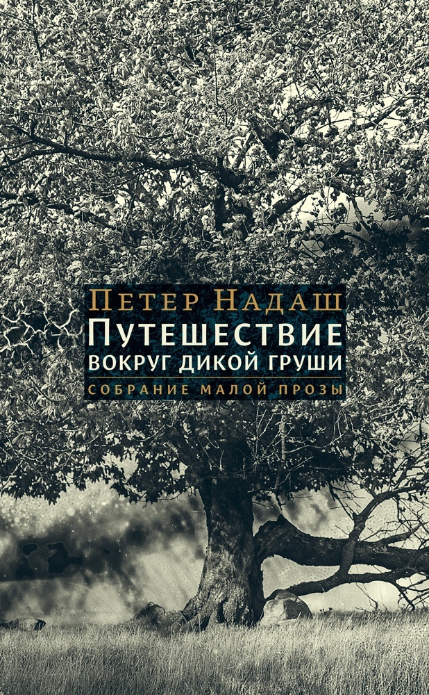 Путешествие вокруг дикой груши [сборник litres]