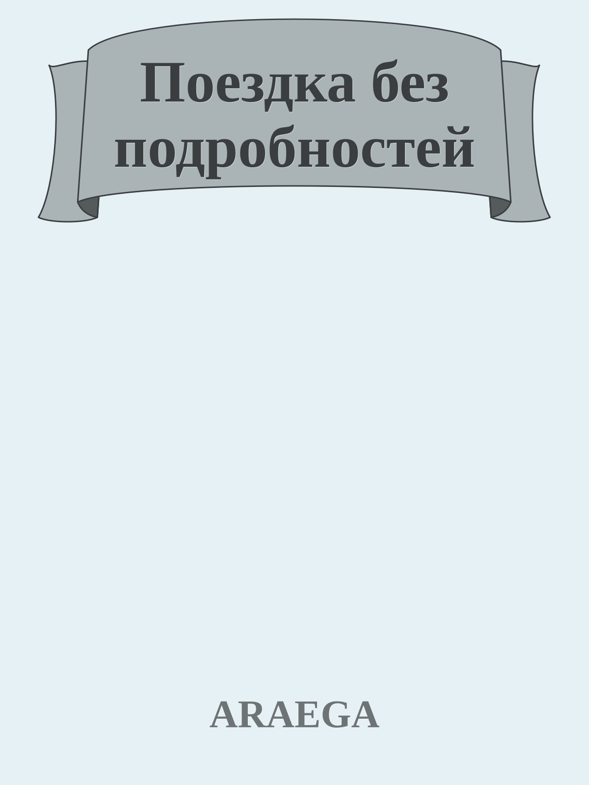 Поездка без подробностей