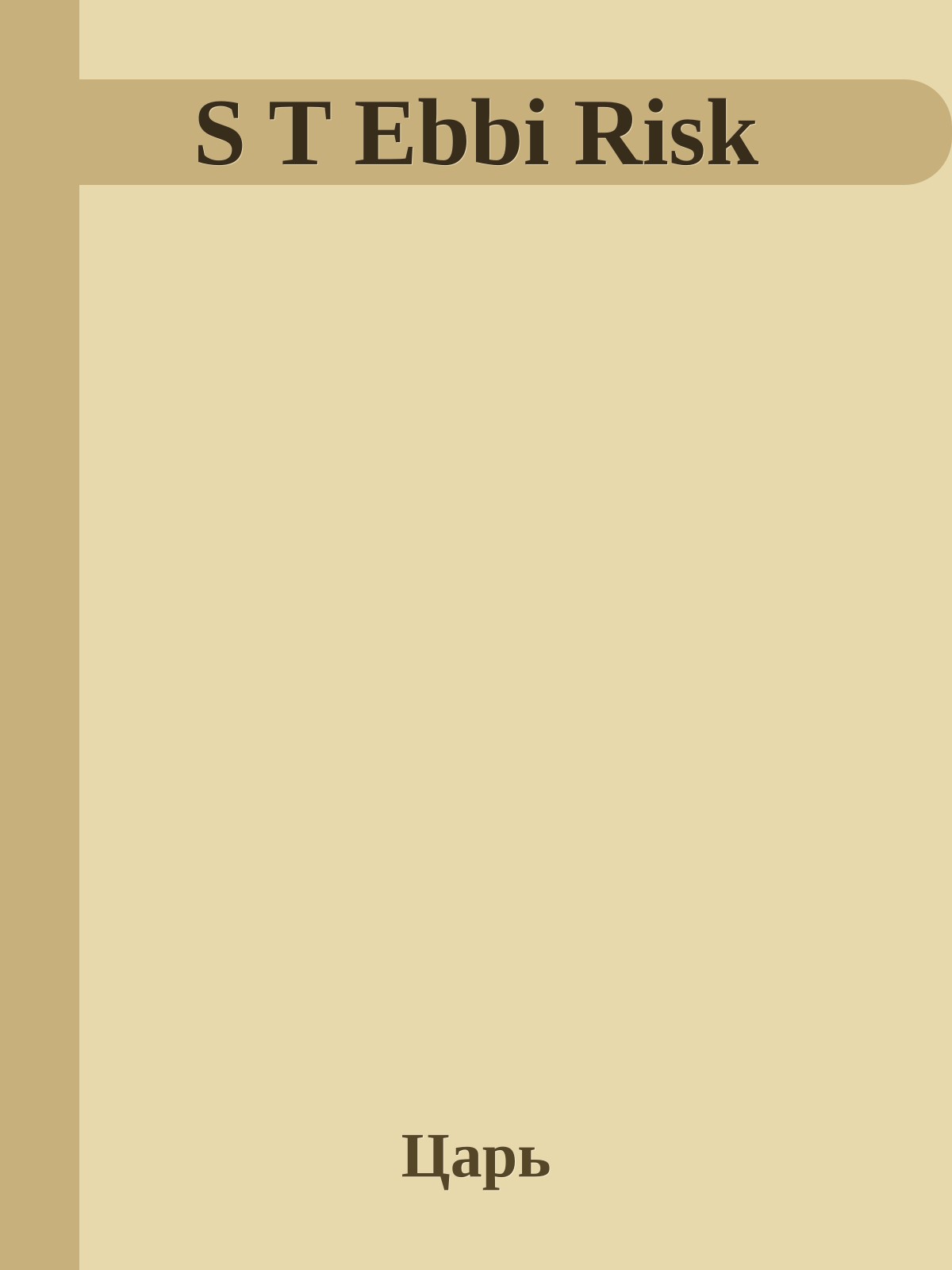 S T Ebbi Risk