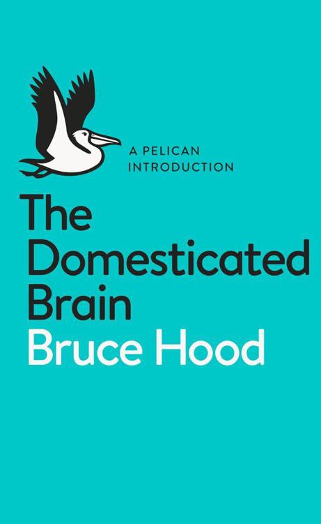 The Domesticated Brain: A Pelican Introduction (Pelican Books)