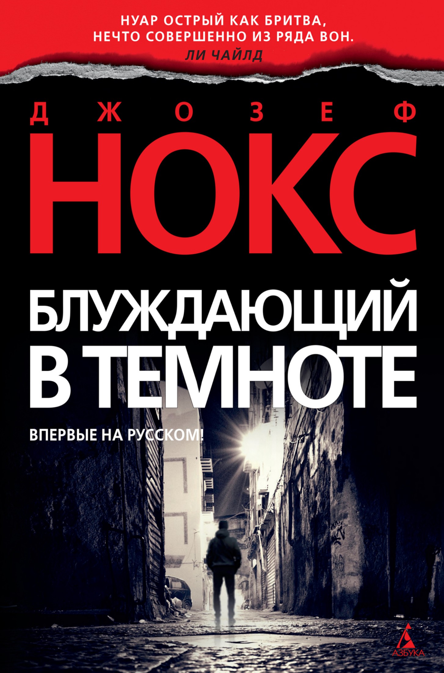 Блуждающий в темноте [Литрес]
