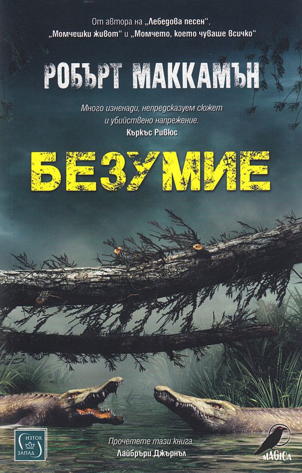 Безумие