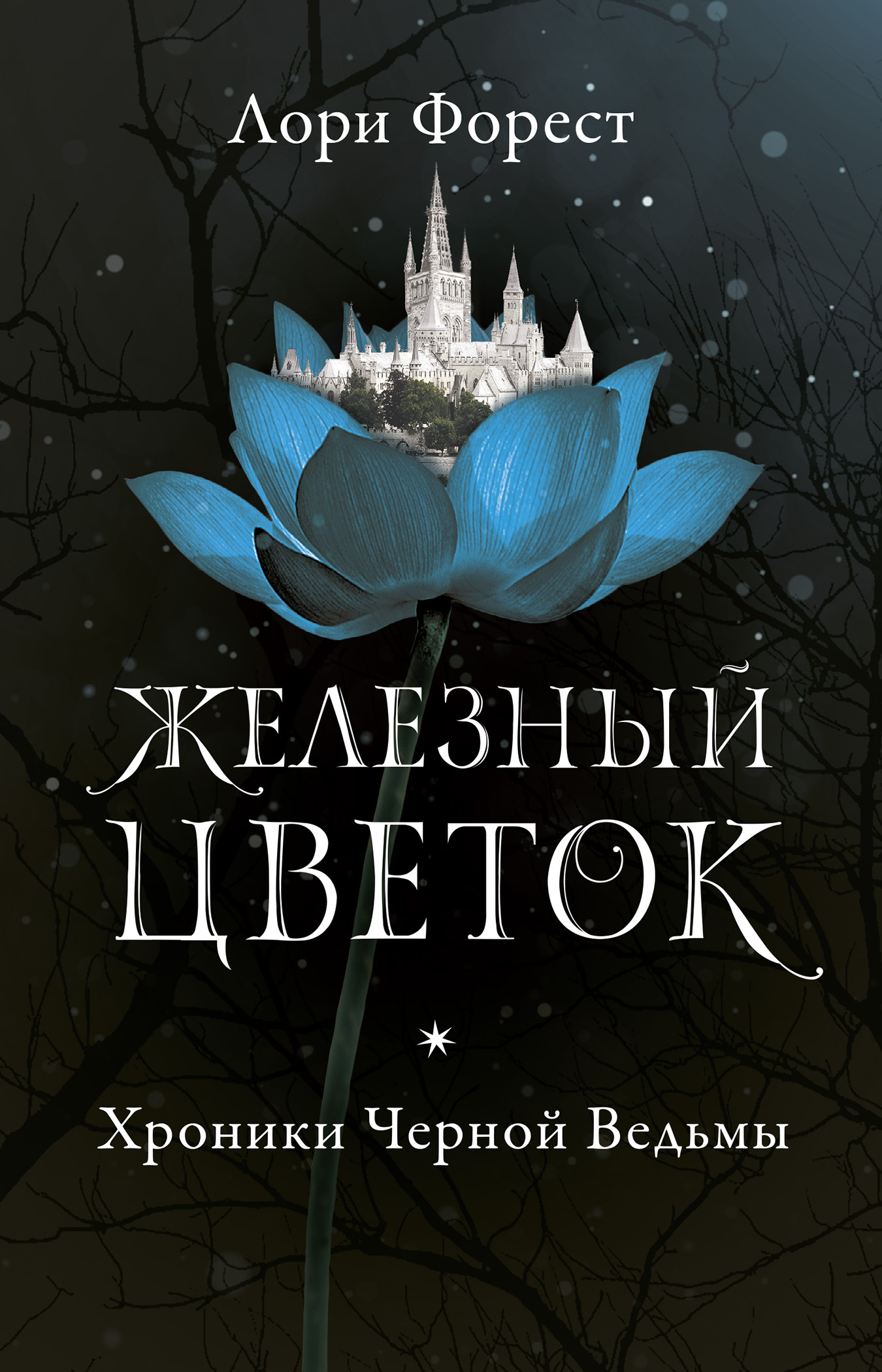 Хроники Черной Ведьмы. Железный цветок
