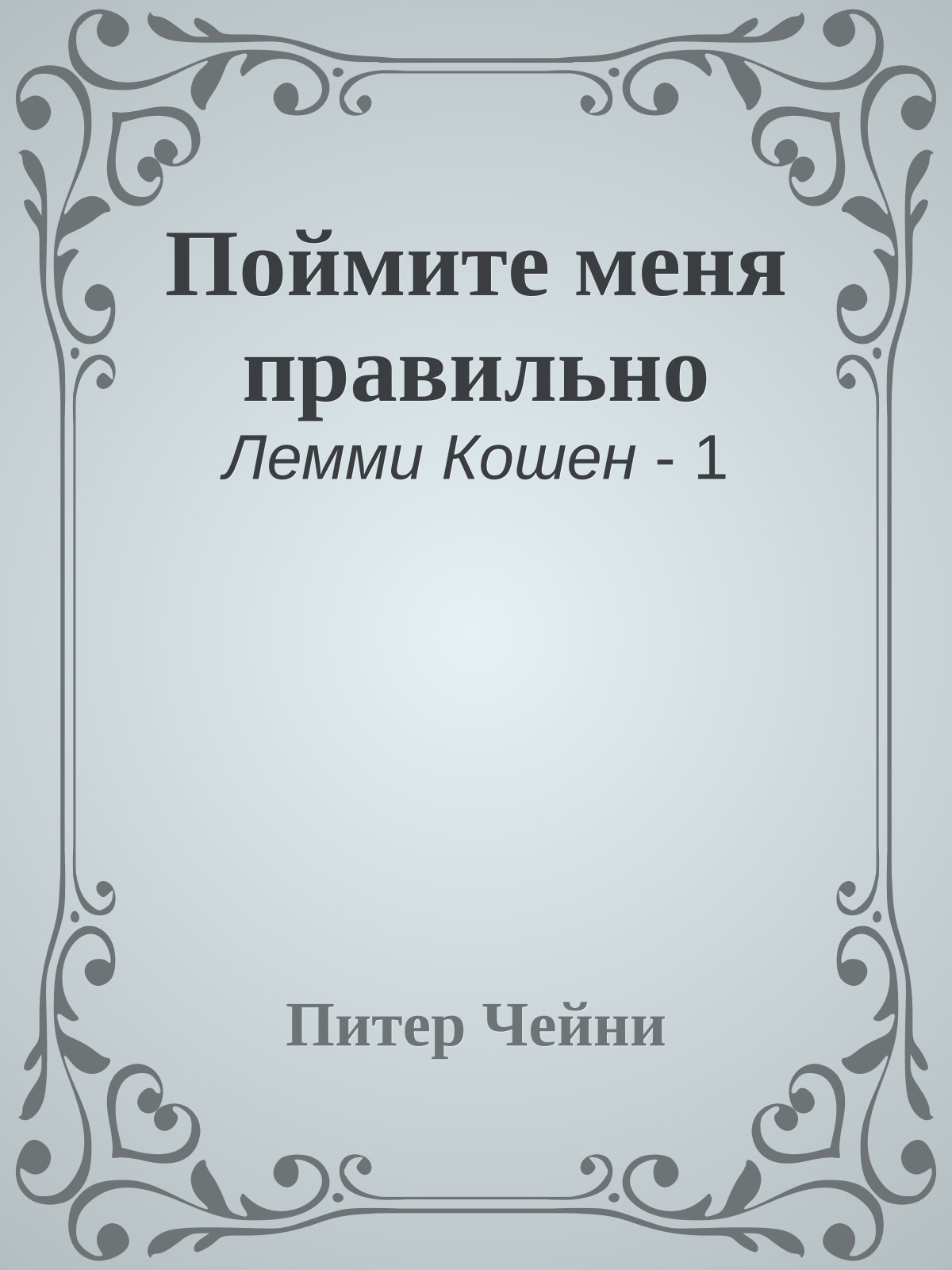 Поймите меня правильно