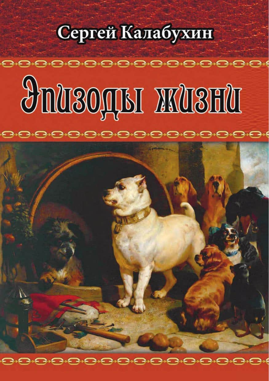 Эпизоды жизни [сборник]