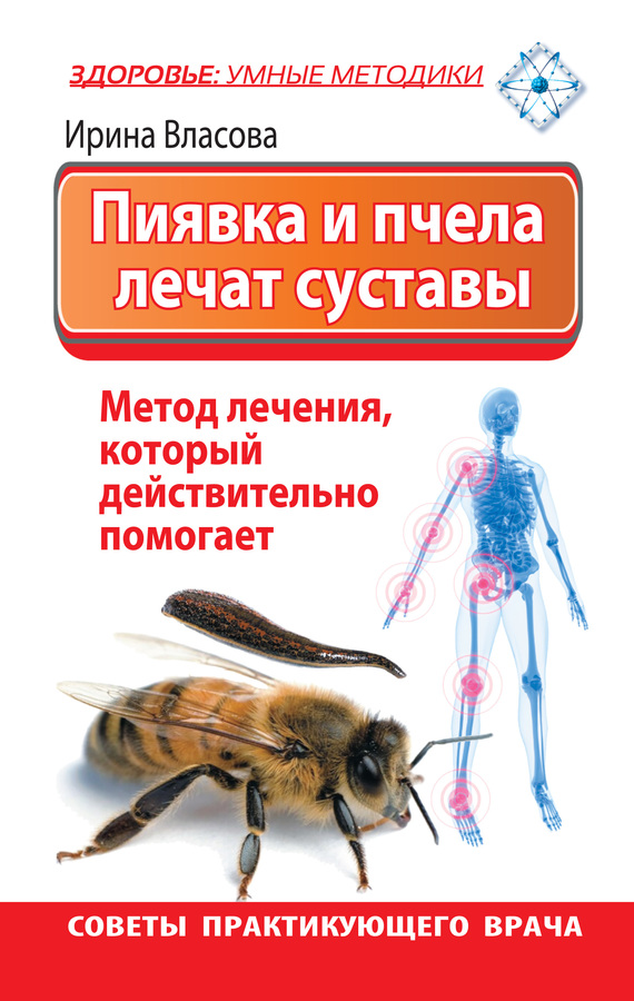 Пиявка и пчела лечат суставы. Метод лечения, который действительно помогает. Советы практикующего врача