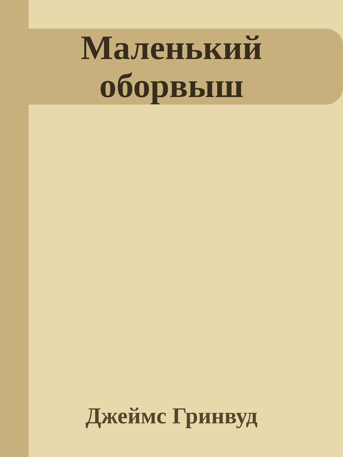 Маленький оборвыш
