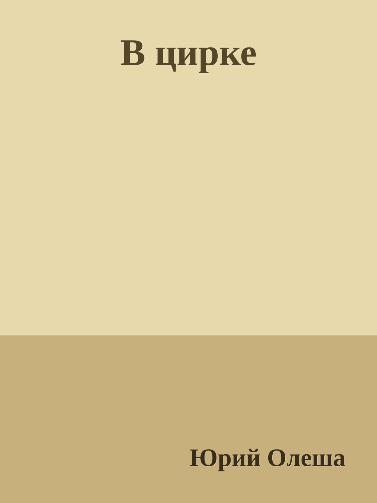В цирке