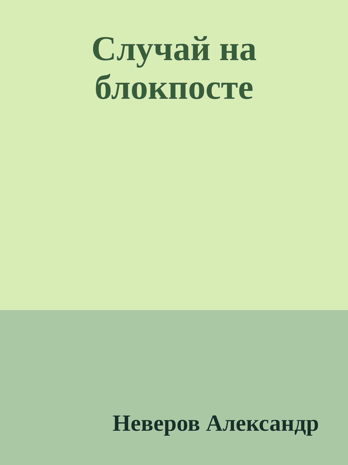 Случай на блокпосте