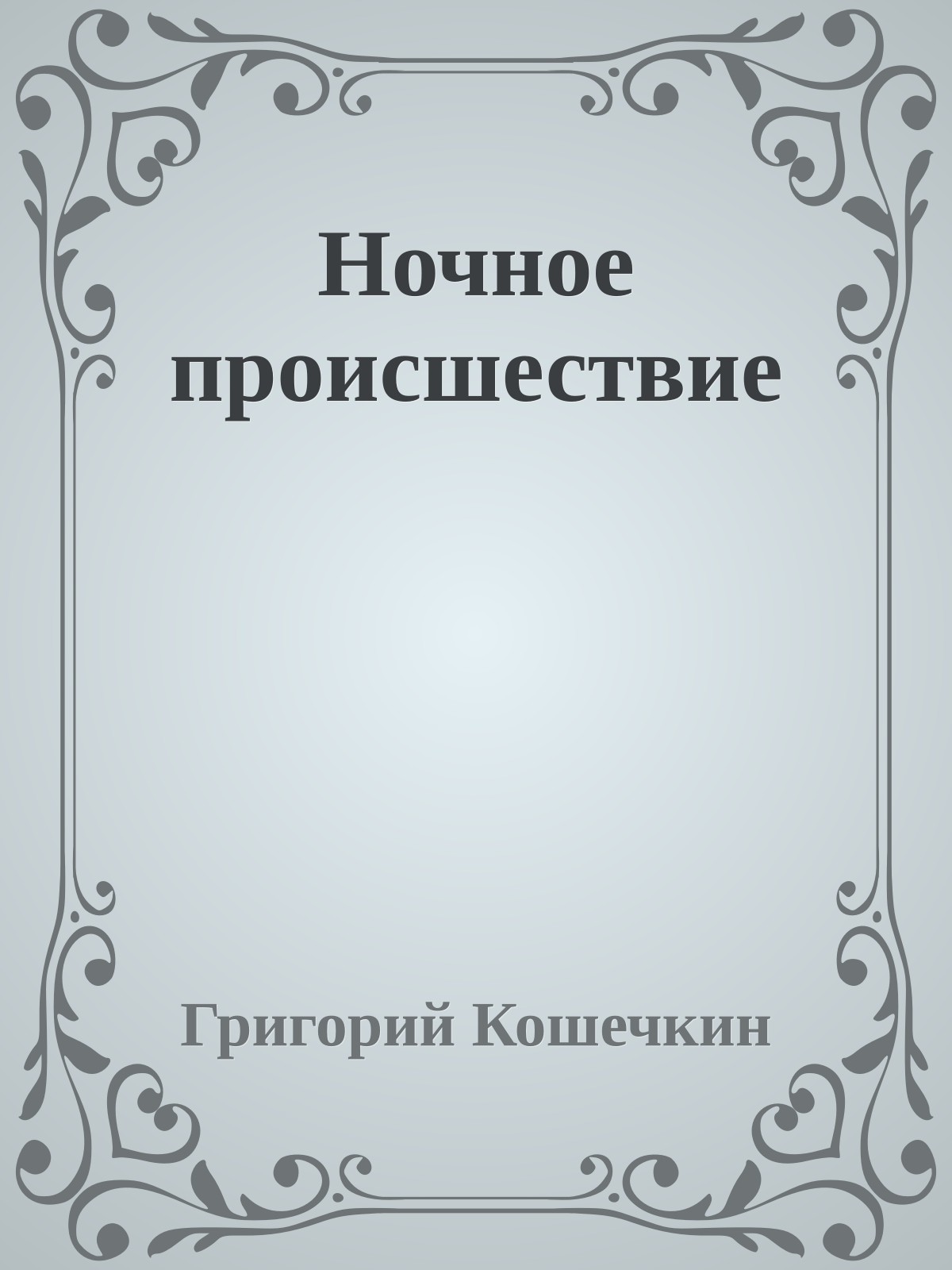Ночное происшествие