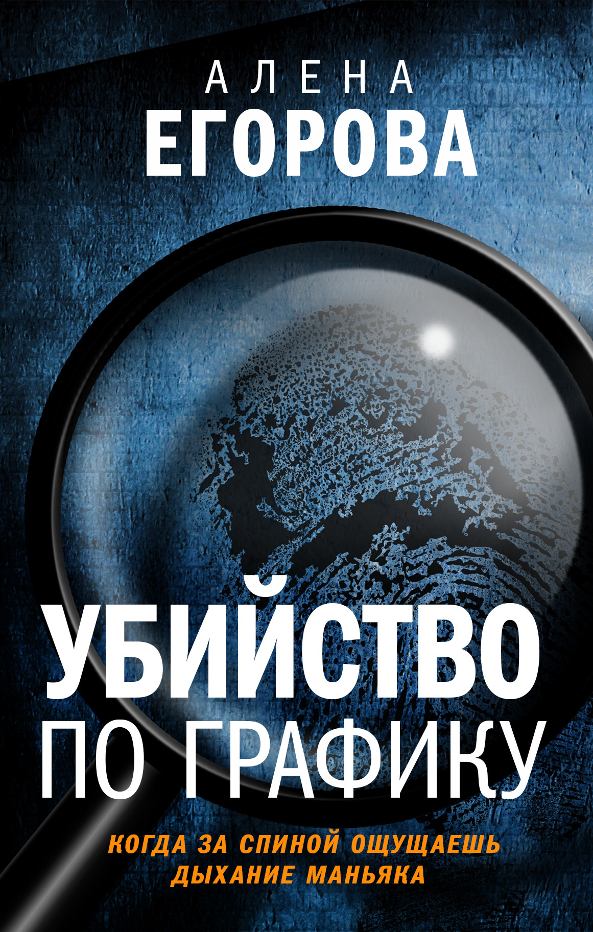 Убийство по графику [litres]