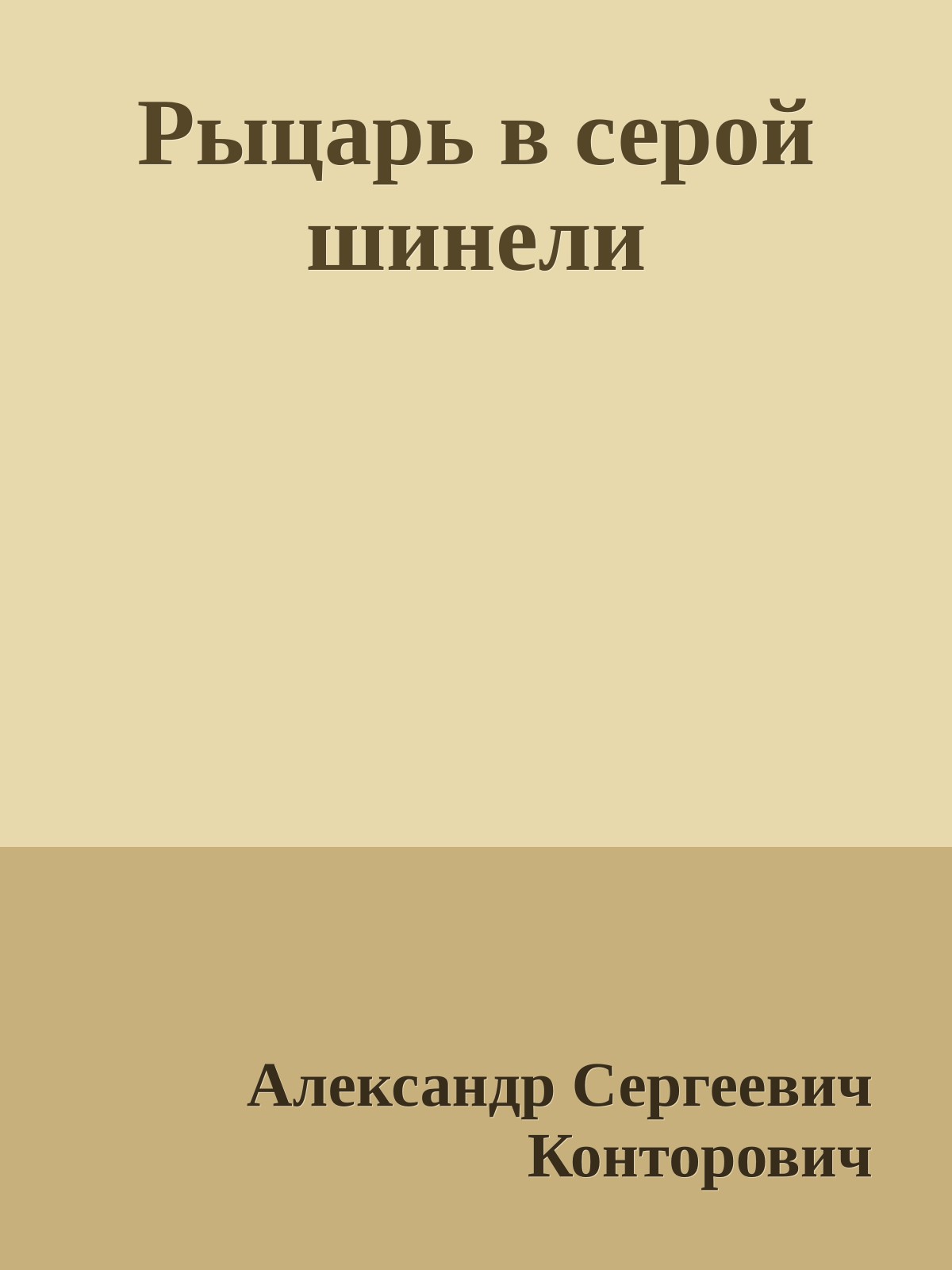 Рыцарь в серой шинели