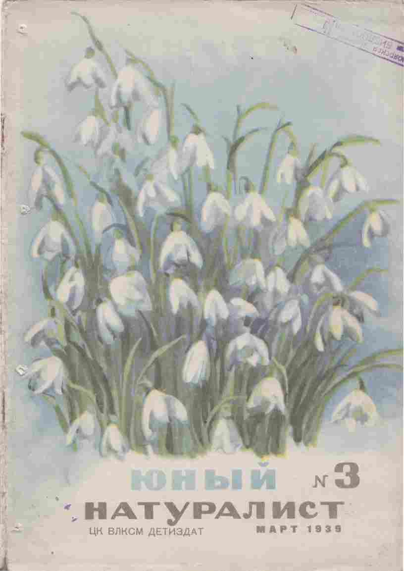 Журнал "Юный Натуралист" №3 1939
