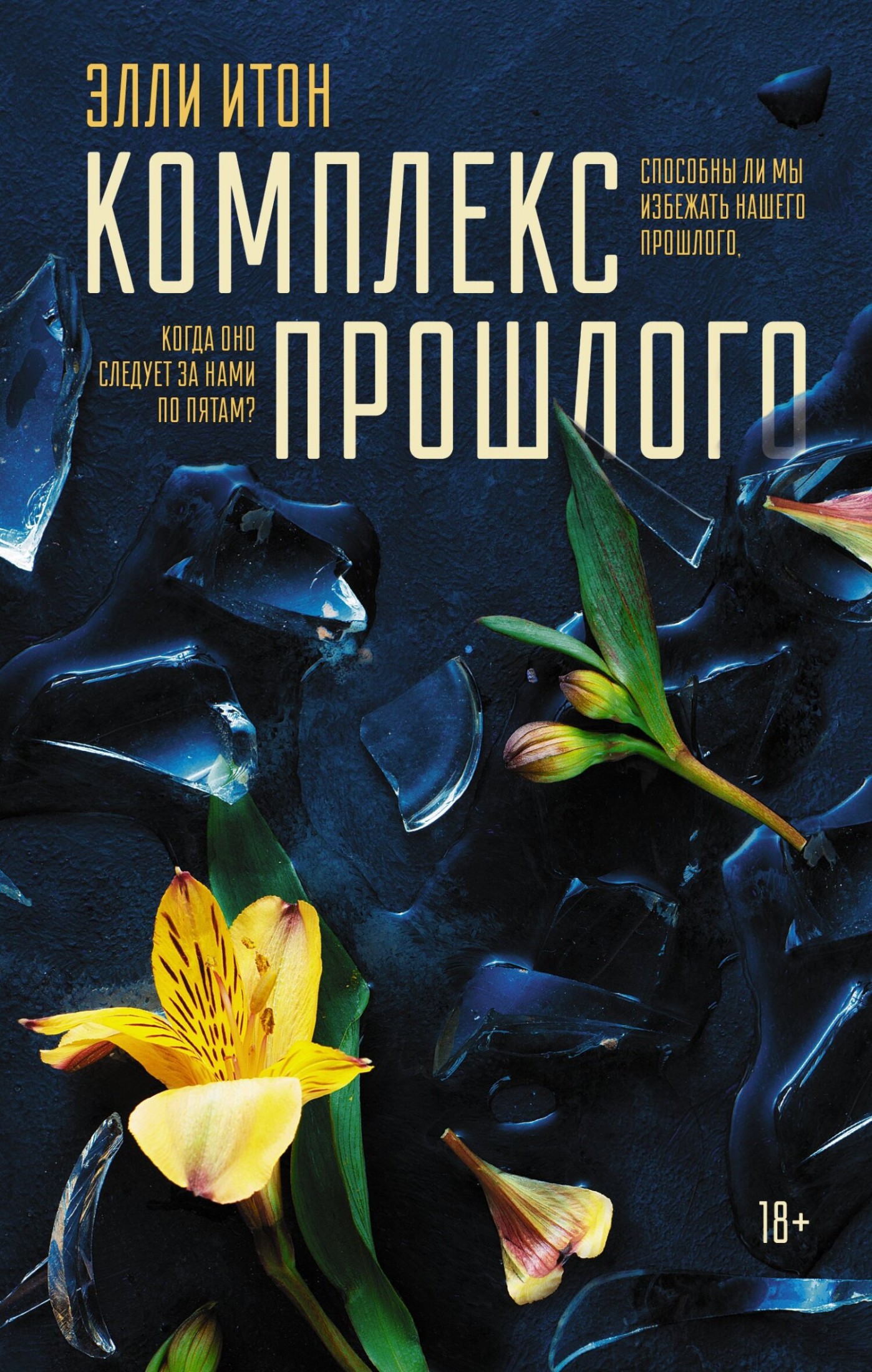 Комплекс прошлого [litres]