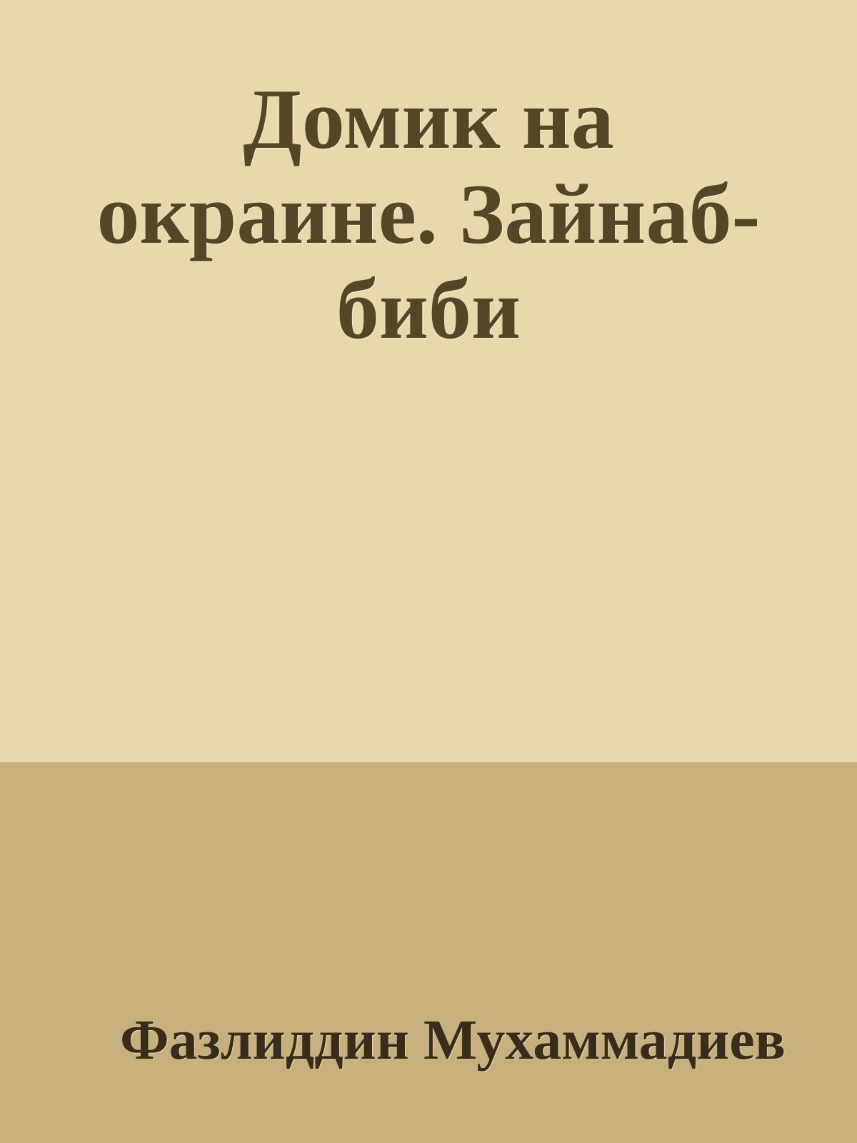 Домик на окраине. Зайнаб-биби