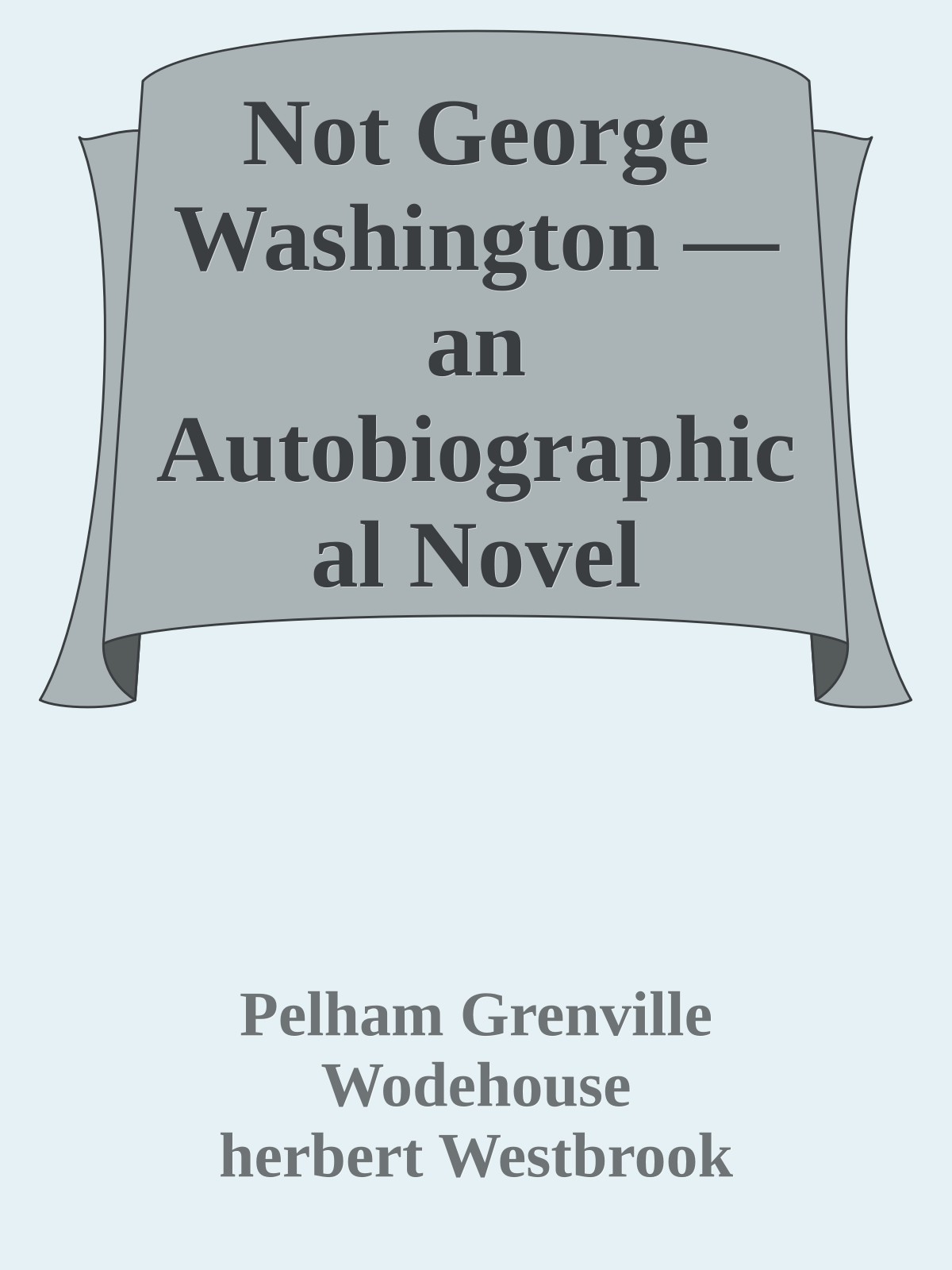 Not George Washington — an Autobiographical Novel