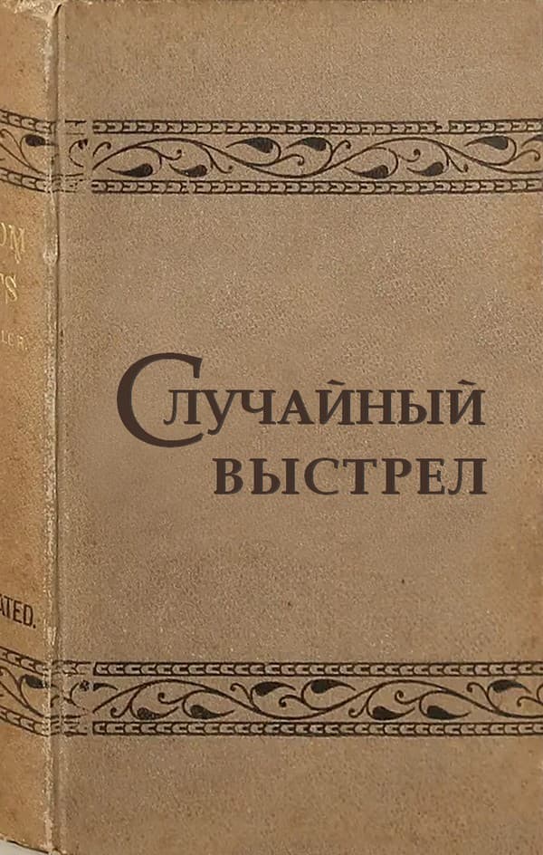 Случайный выстрел