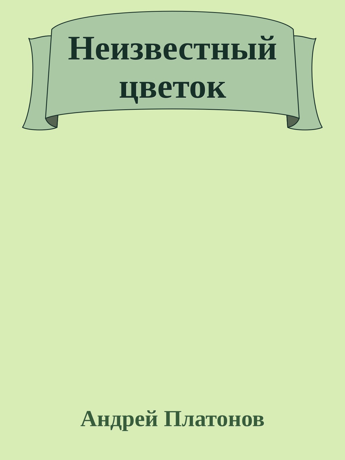Неизвестный цветок