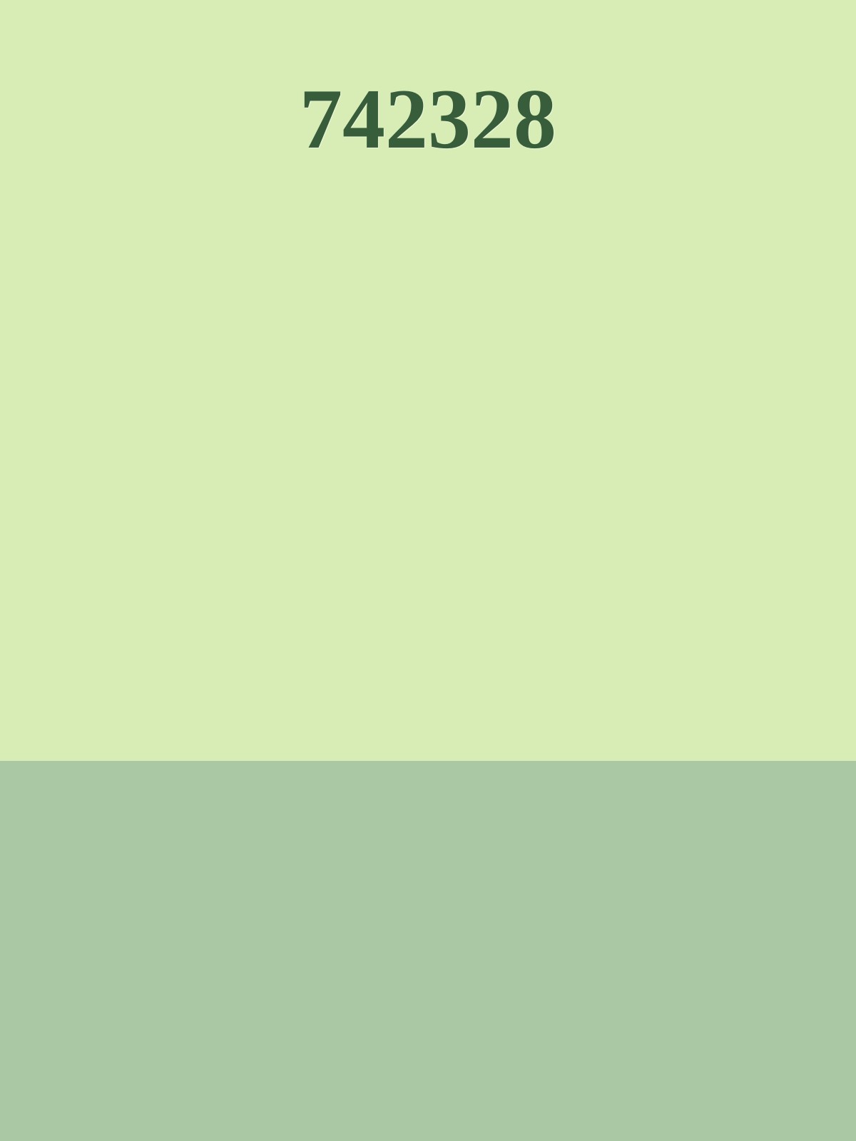 742328