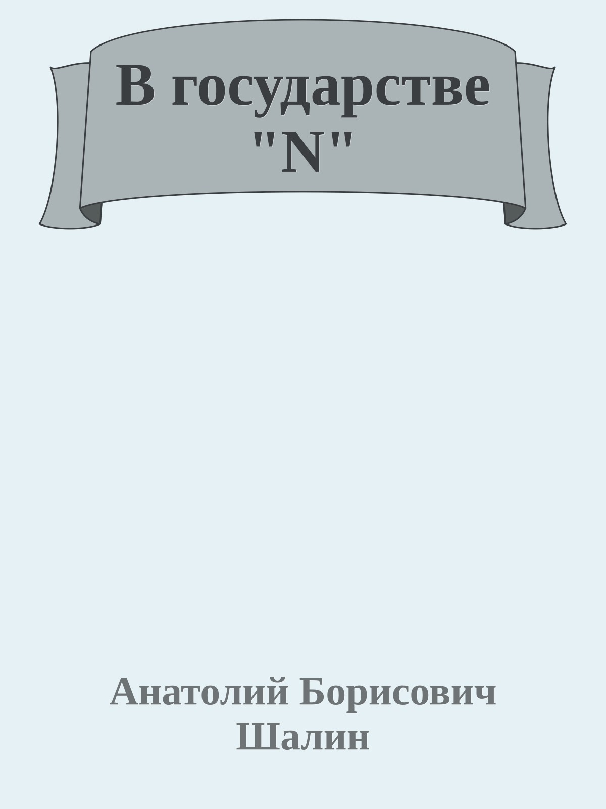 В государстве "N"