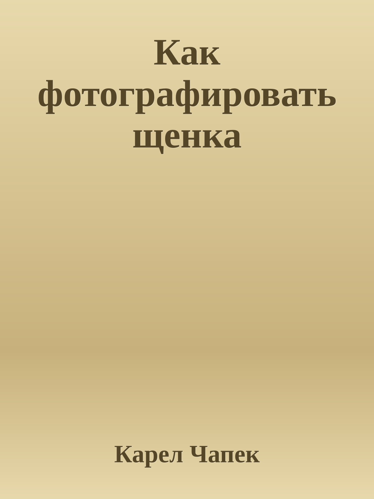 Как фотографировать щенка