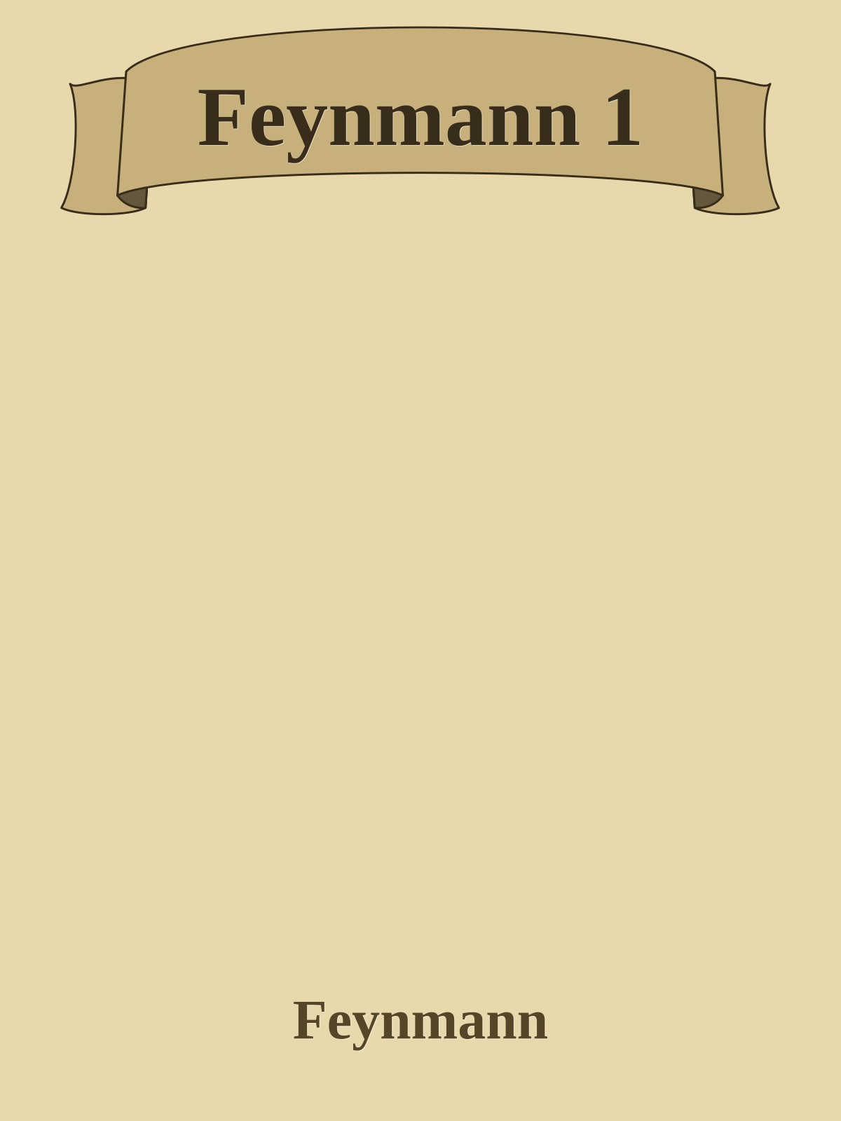 Feynmann 1