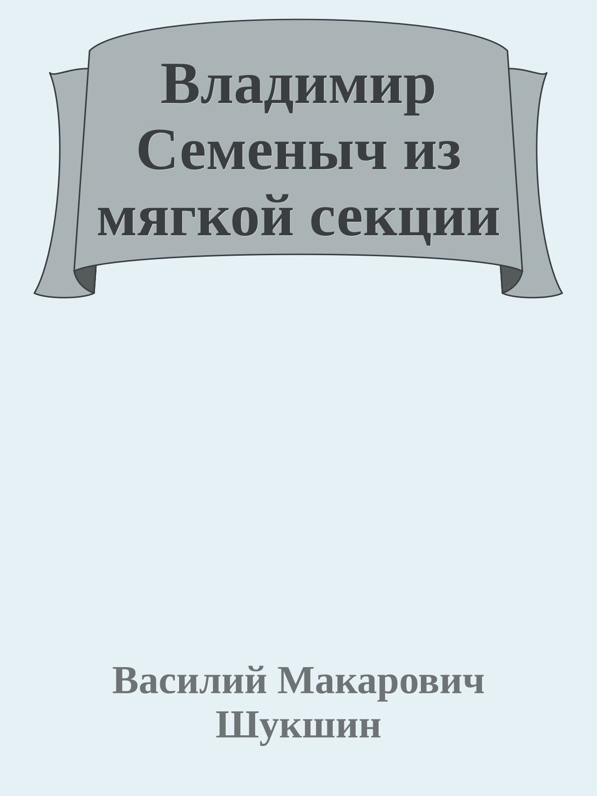 Владимир Семеныч из мягкой секции