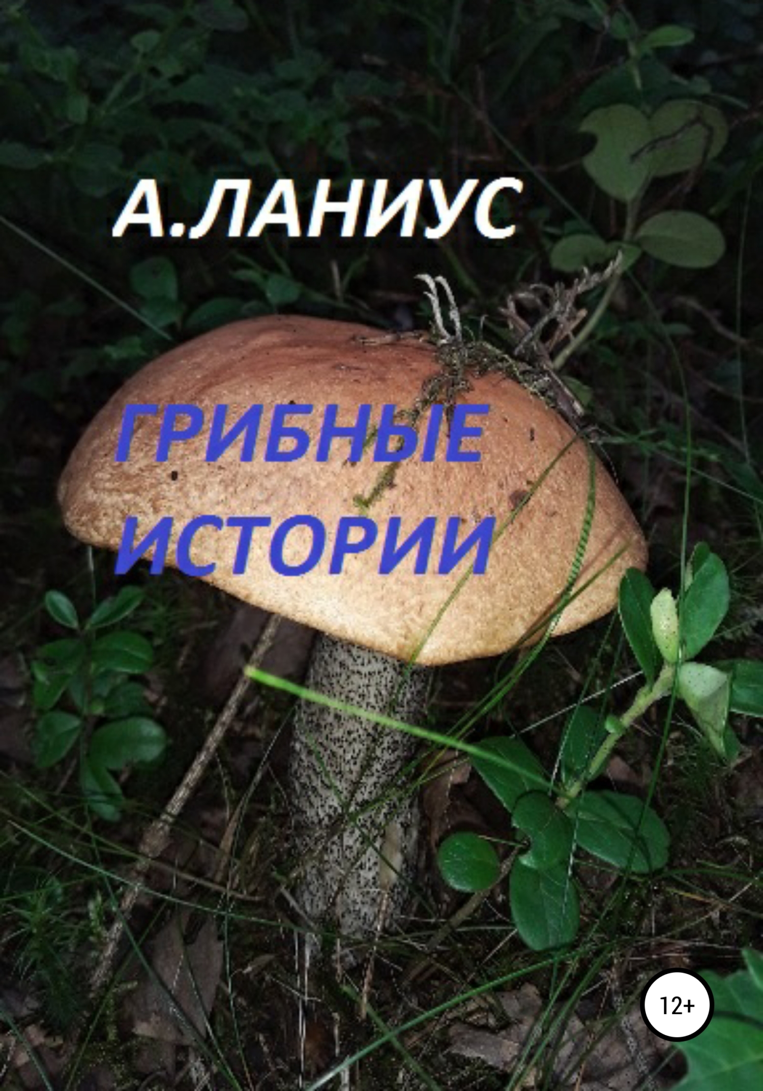 Грибные истории [litres самиздат]
