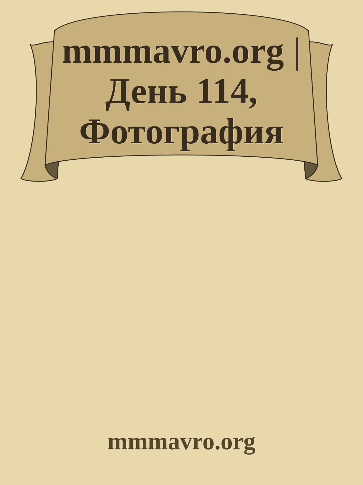 mmmavro.org | День 114, Фотография