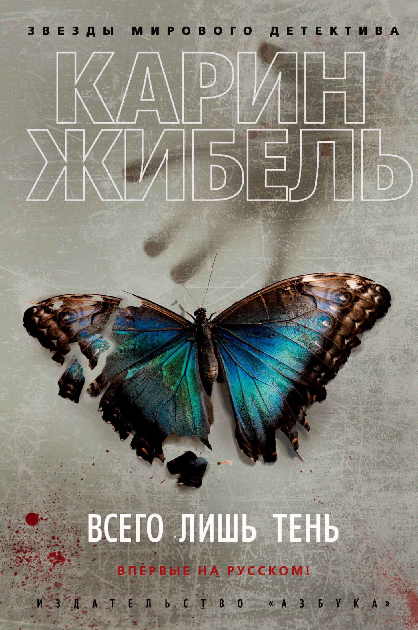 Всего лишь тень [litres]