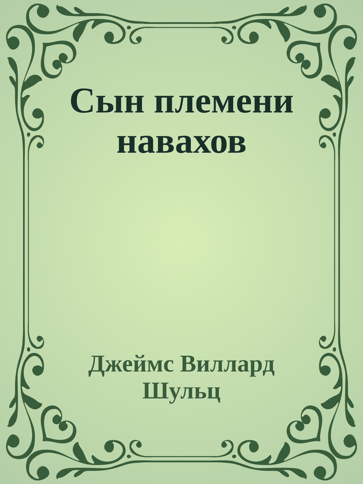 Сын племени навахов
