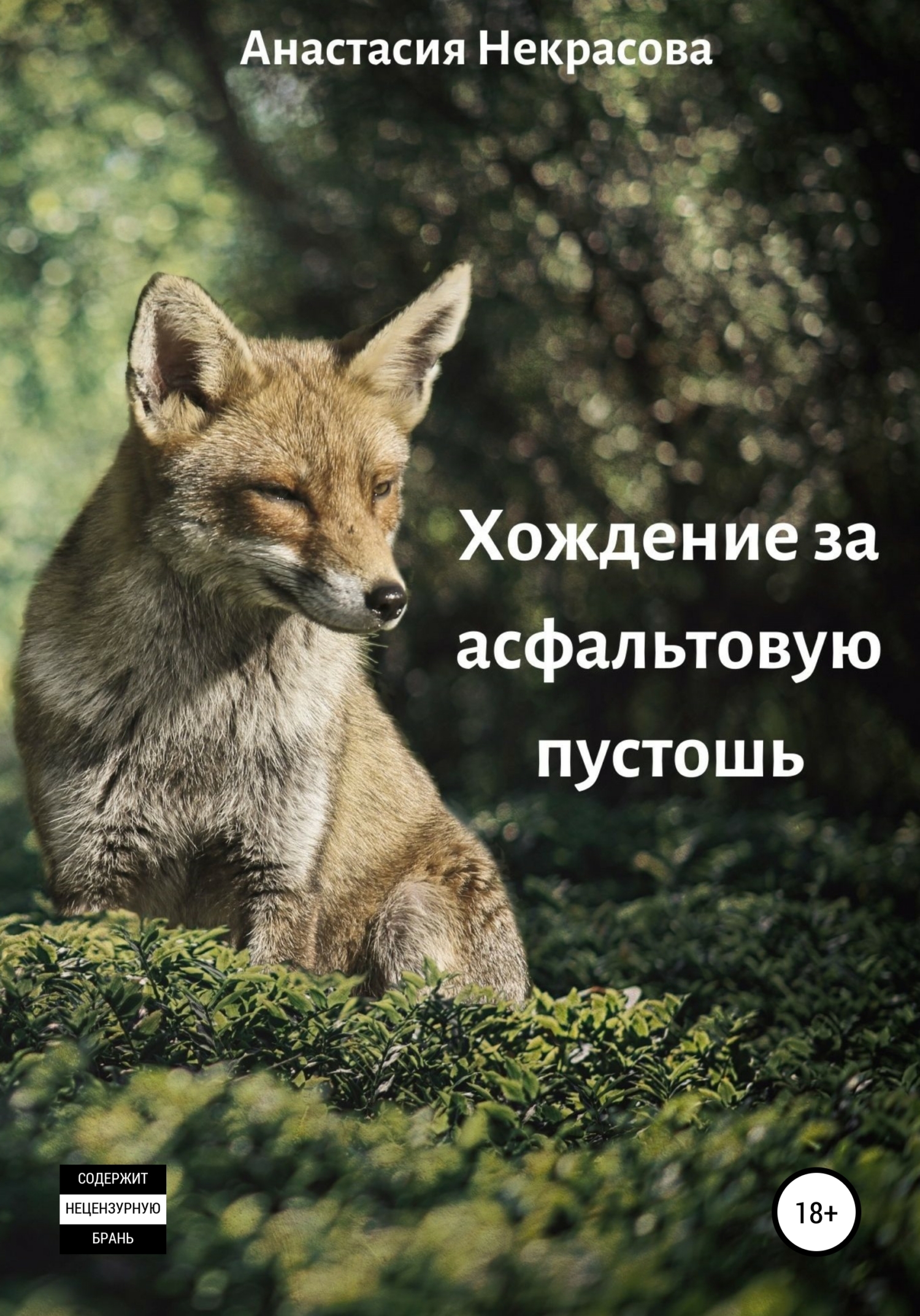 Хождение за асфальтовую пустошь [litres самиздат]