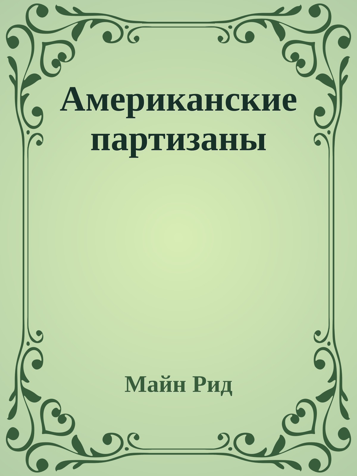 Американские партизаны