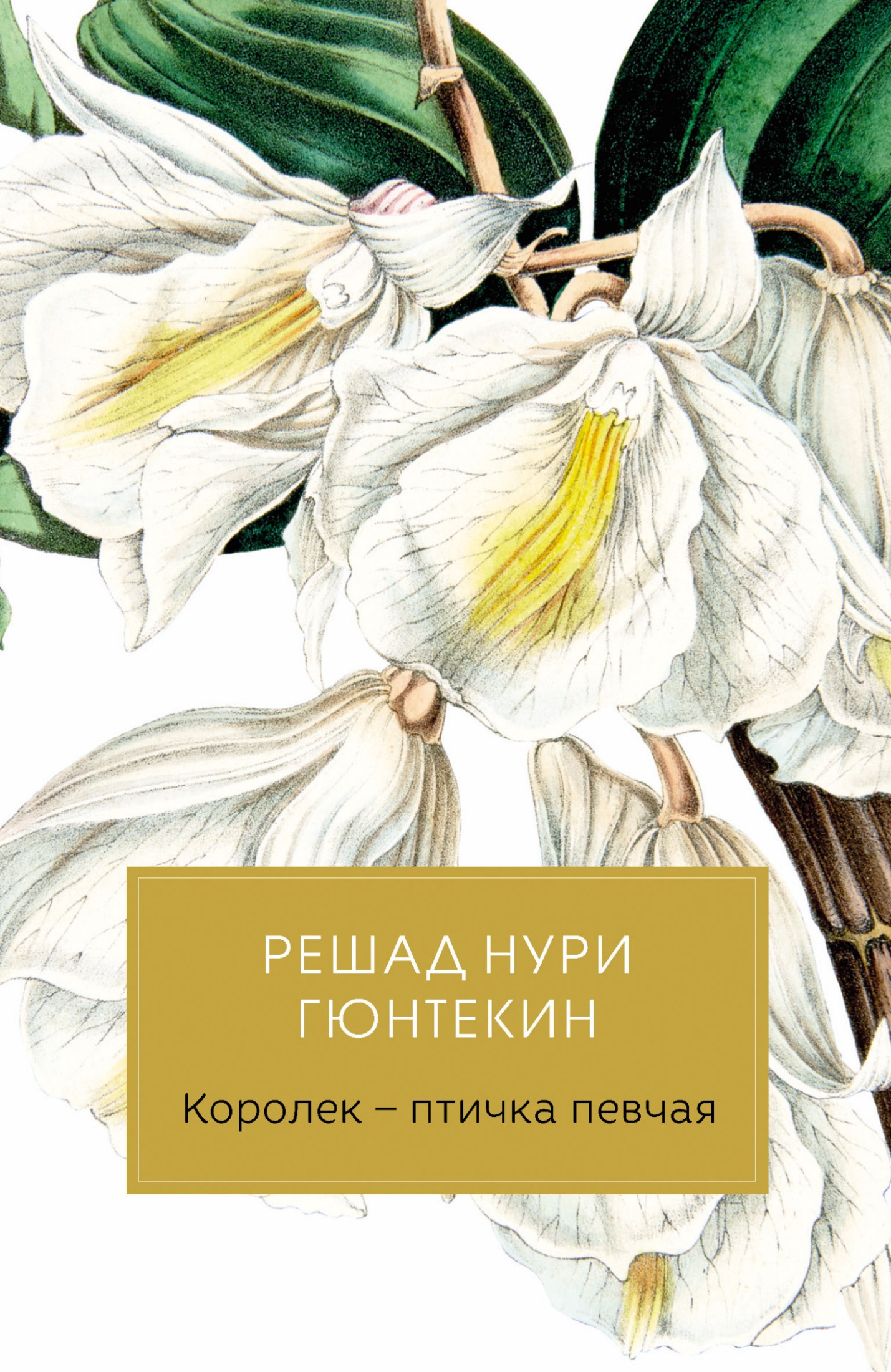 Королек – птичка певчая [litres]