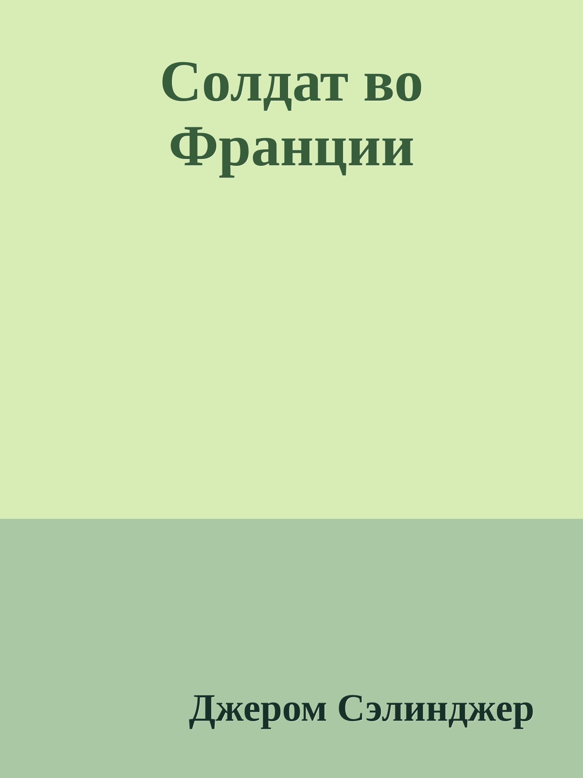 Солдат во Франции