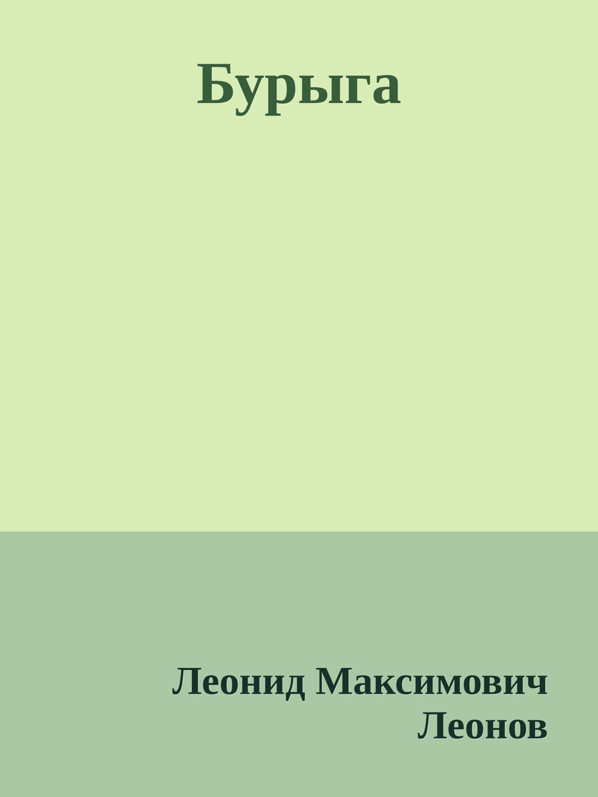 Бурыга