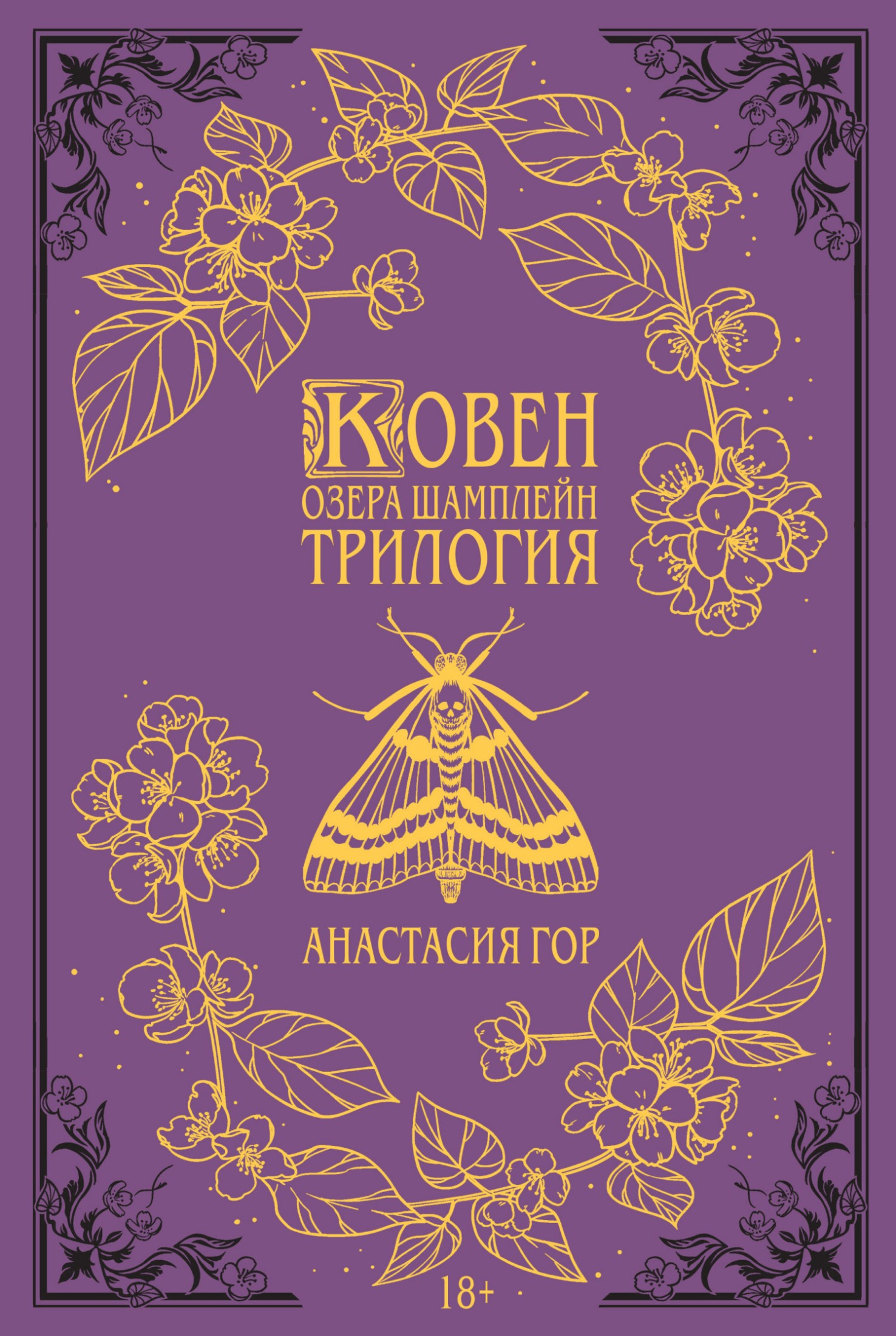 Ковен озера Шамплейн [сборник litres]