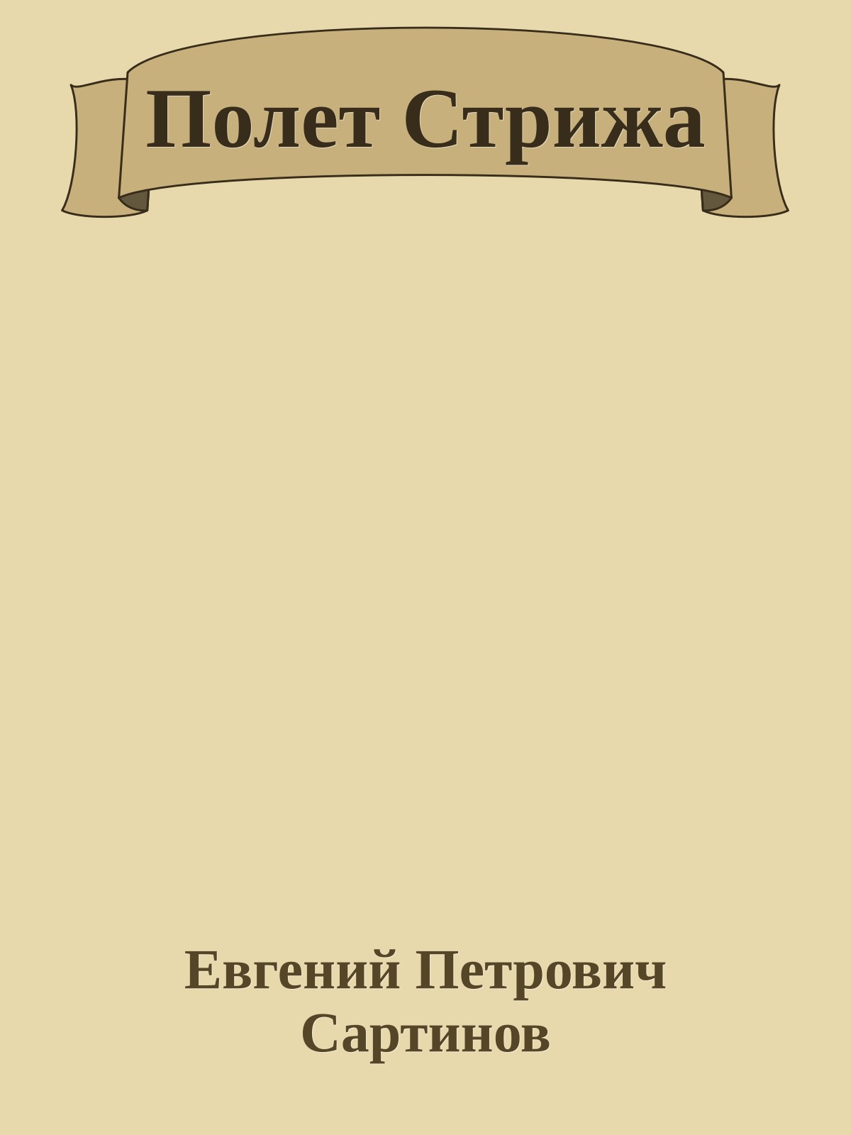 Полет Стрижа