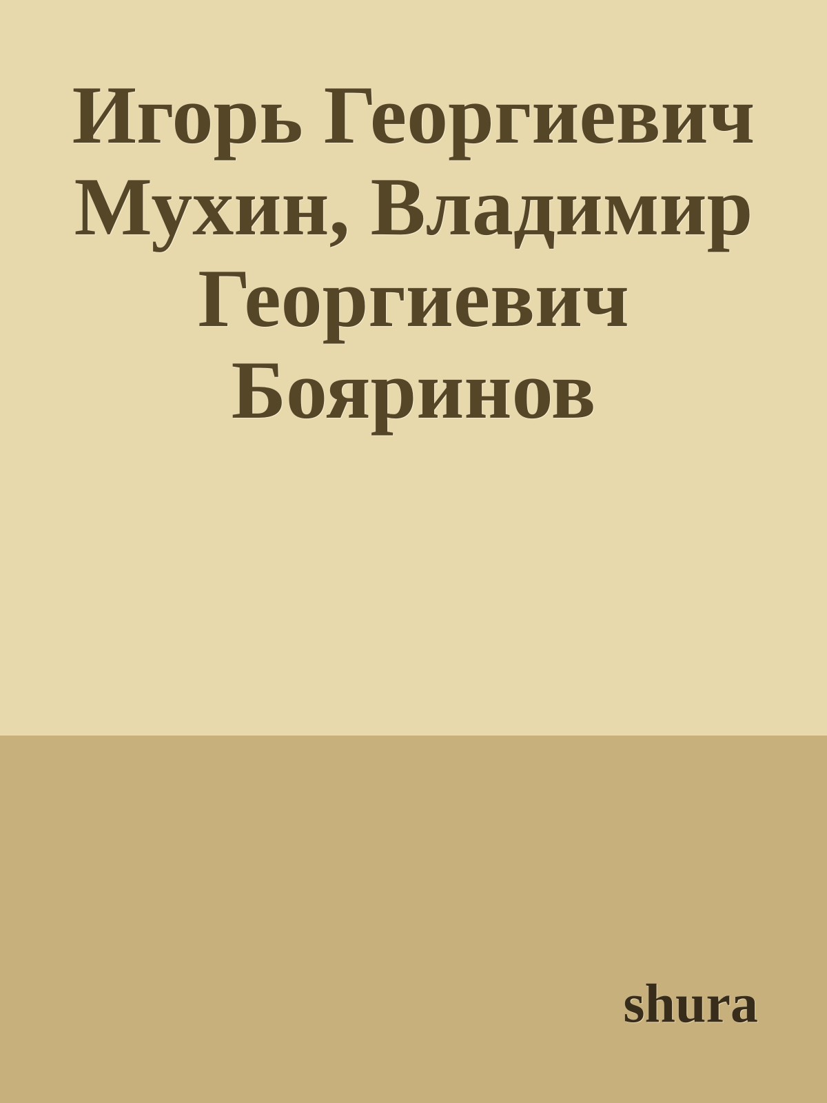 Игорь Георгиевич Мухин, Владимир Георгиевич Бояринов